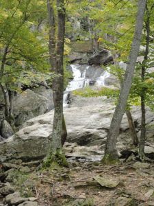 60699e82714bed459a3286135369511e